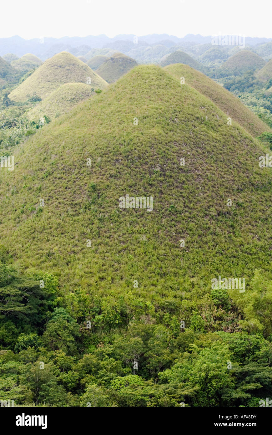 Filippine Bohol Chocolate Hills Visayas Foto Stock
