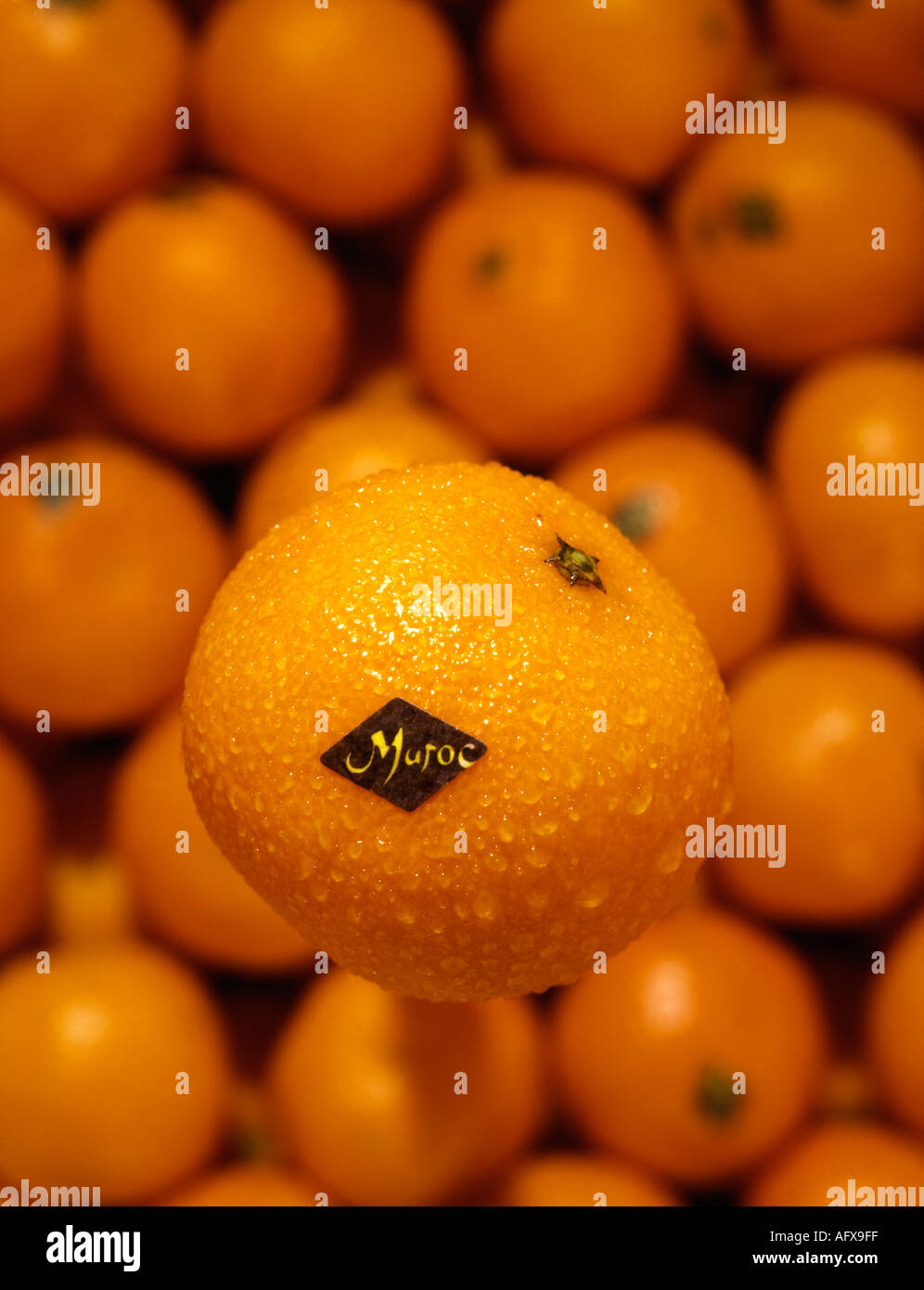 Moroc arance Foto Stock