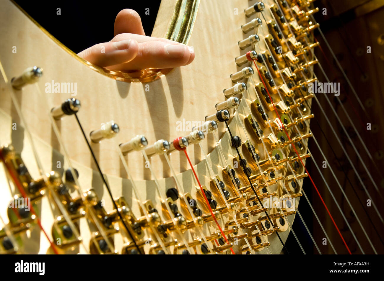 Tradizionale a piena dimensione concerto per arpa classica close up dettaglio chiavi di stringhe di dita in appoggio sulla curva sul retro Foto Stock