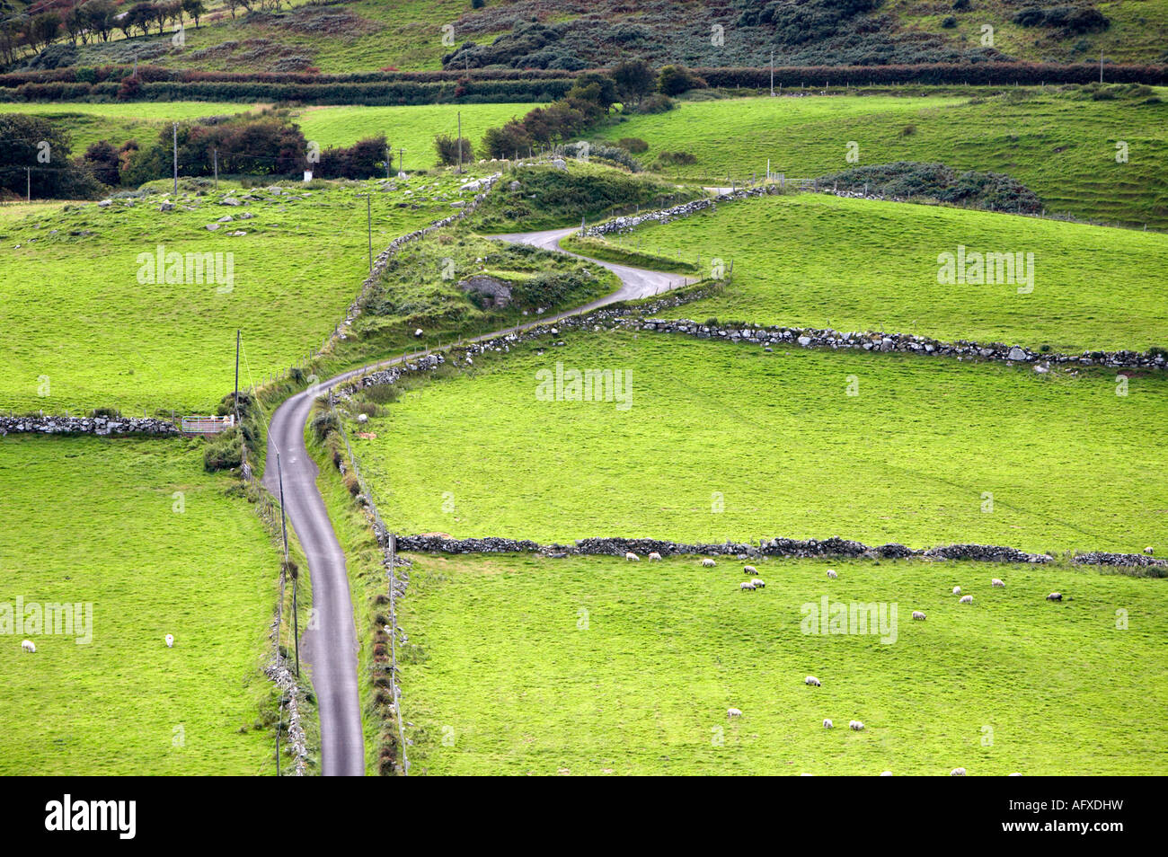 Piccolo avvolgimento stretto ventoso paese lane road che conduce attraverso i terreni agricoli fino a torr head Foto Stock