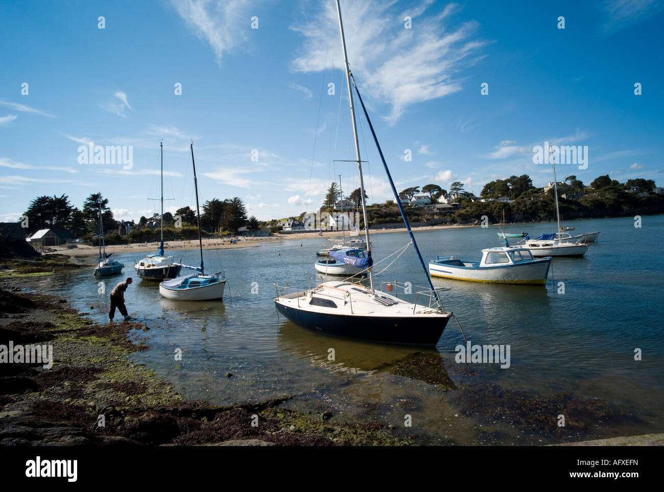 L'uomo paddling in mare a Abersoch harbour marina Gwynedd Galles del nord agosto 2007 Foto Stock