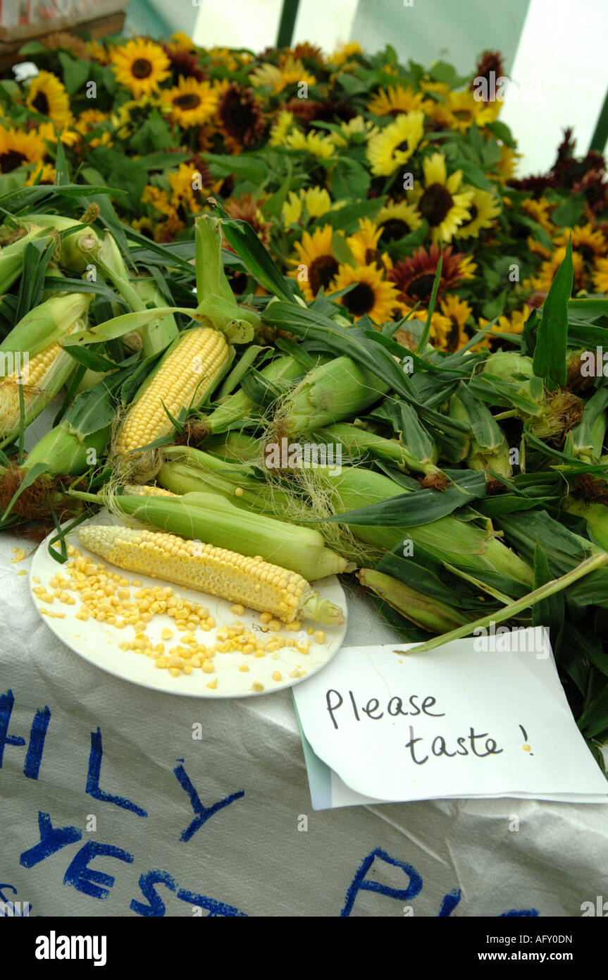 Mais e girasoli in vendita a Ludlow Food Festival, Shropshire, Regno Unito Foto Stock