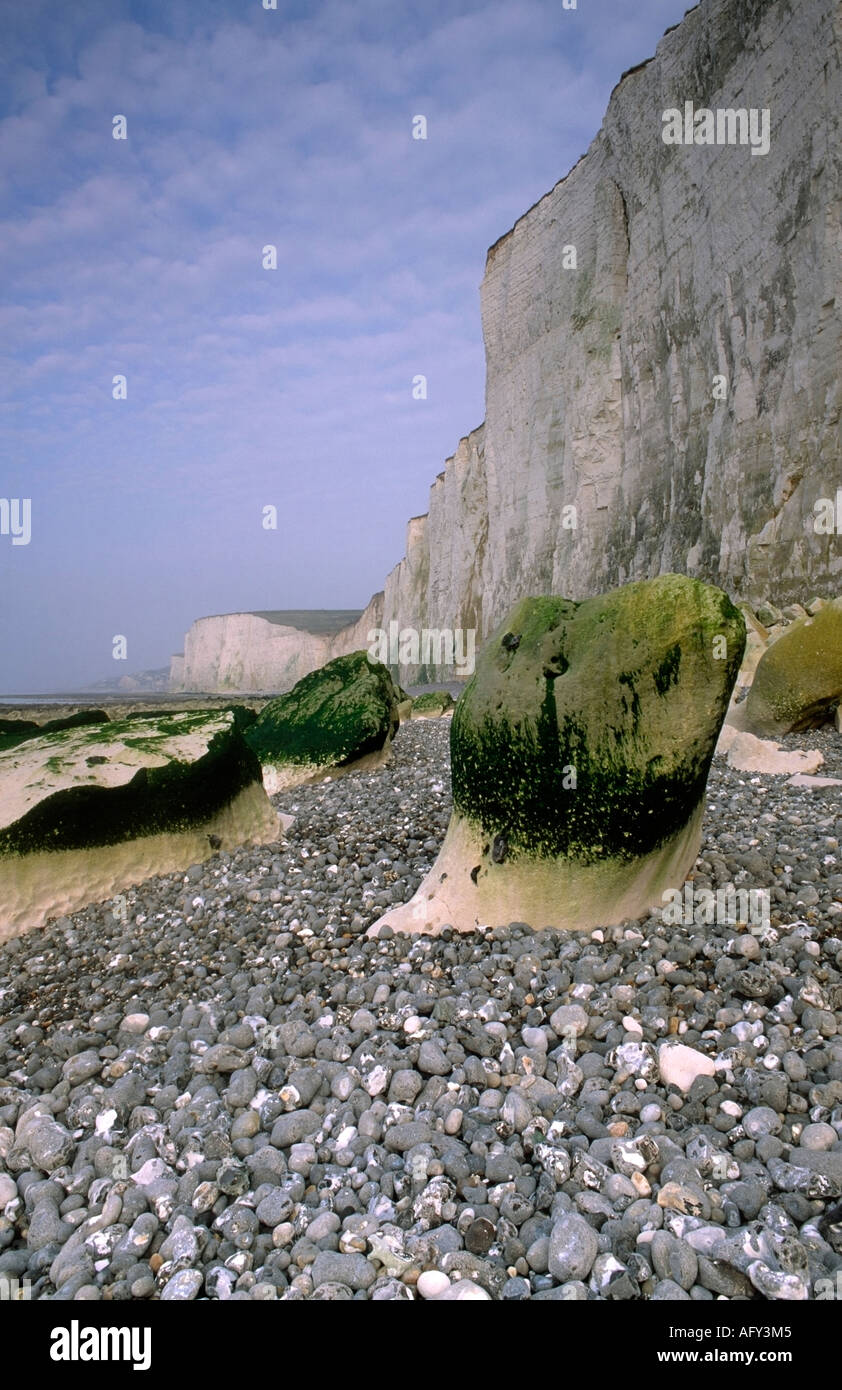 Cote Picarde Bois de Cise Picardia Francia Foto Stock