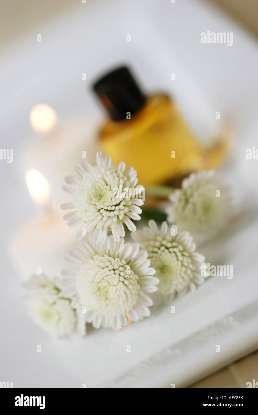 Aromaterapia oli e candele con piccoli fiori di crisantemo Foto Stock