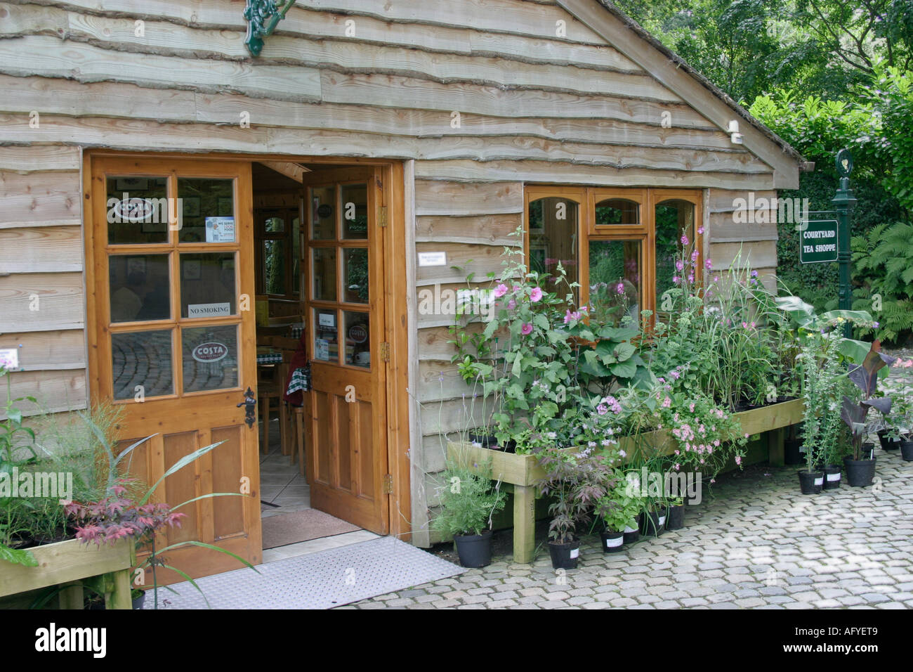 Pine Lodge Gardens Holmbush Saint St Austell Cornwall piante in vendita Foto Stock