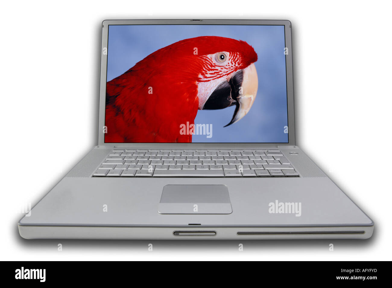 LAP TOP NOTE BOOK PERSONAL COMPUTER con schermo di visualizzazione foto di scarlet macaw Foto Stock