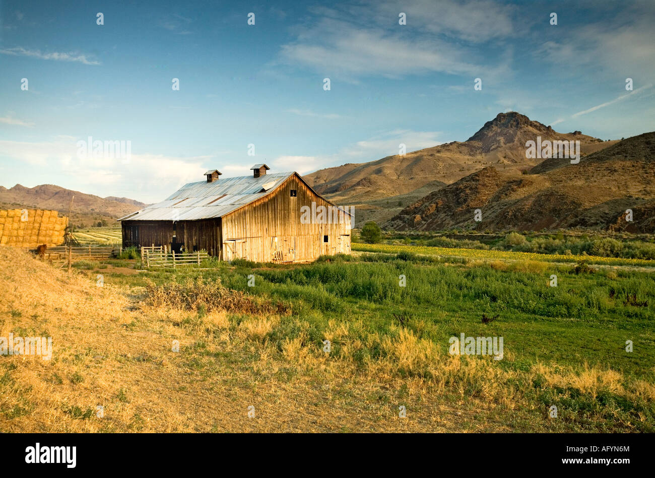 Tramonto su un girasole farm barn annidata in una valle, ruggine colline colorate, soft mattina il sorgere del sole, cavalli mangia fieno Foto Stock