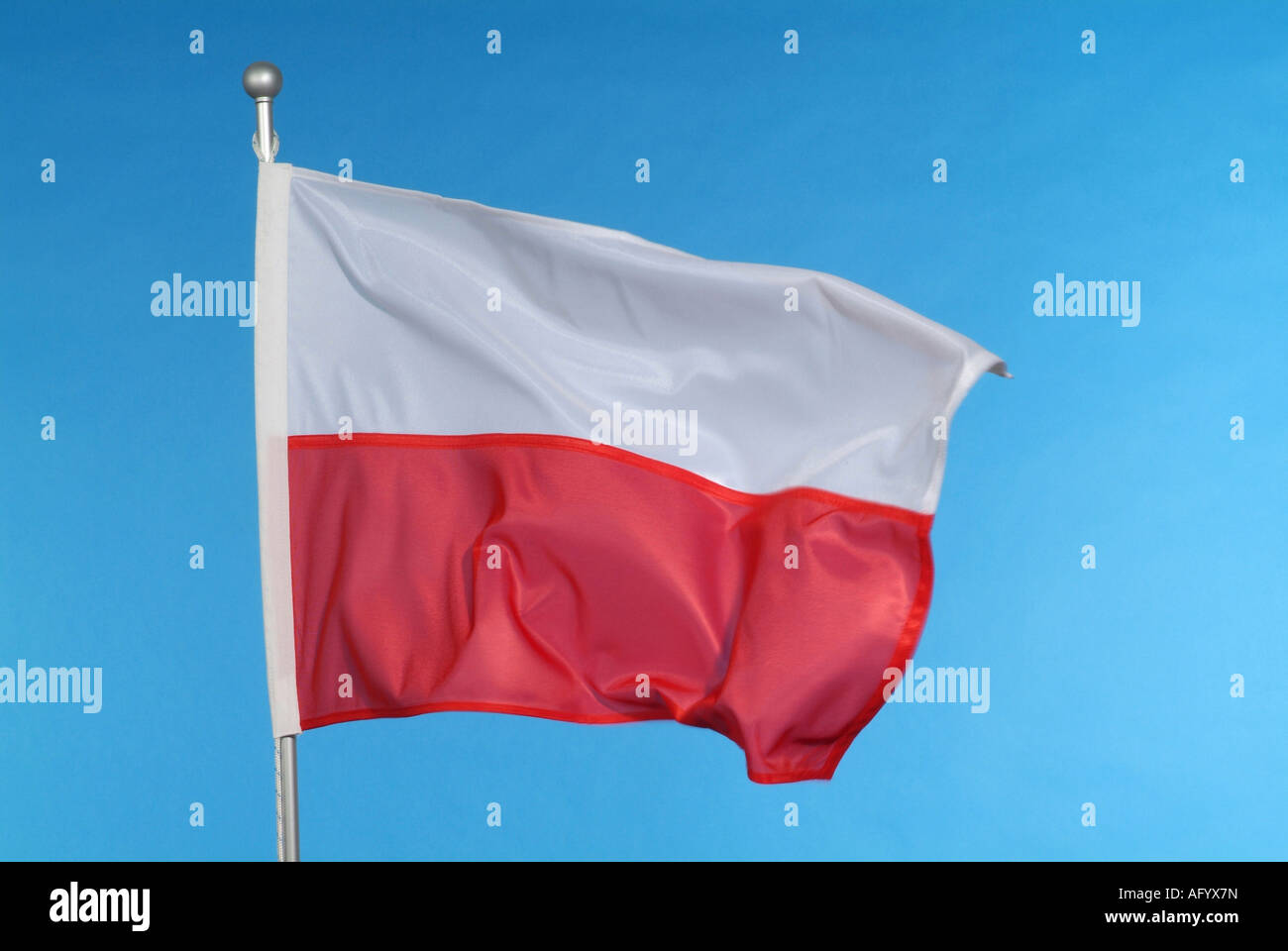 Polacco bandiera nazionale contro il cielo blu Foto Stock