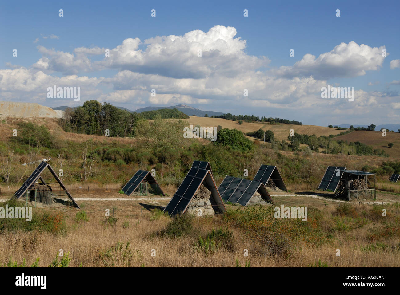 Dunarobba Umbria Italia Centro di Paleontologia Vegetale Dunarobba Foresta Fossile Foto Stock