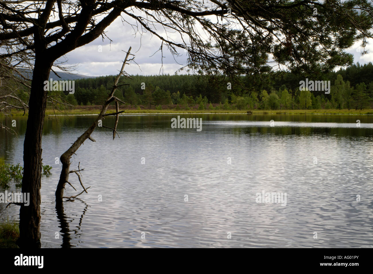 Vista di Uath Lochan nelle Highlands scozzesi Foto Stock