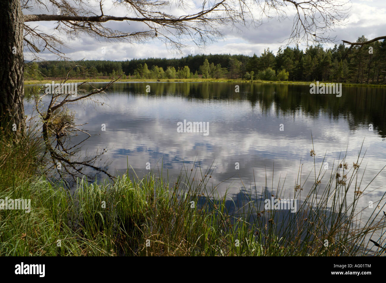 Vista di Uath Lochan nelle Highlands scozzesi Foto Stock