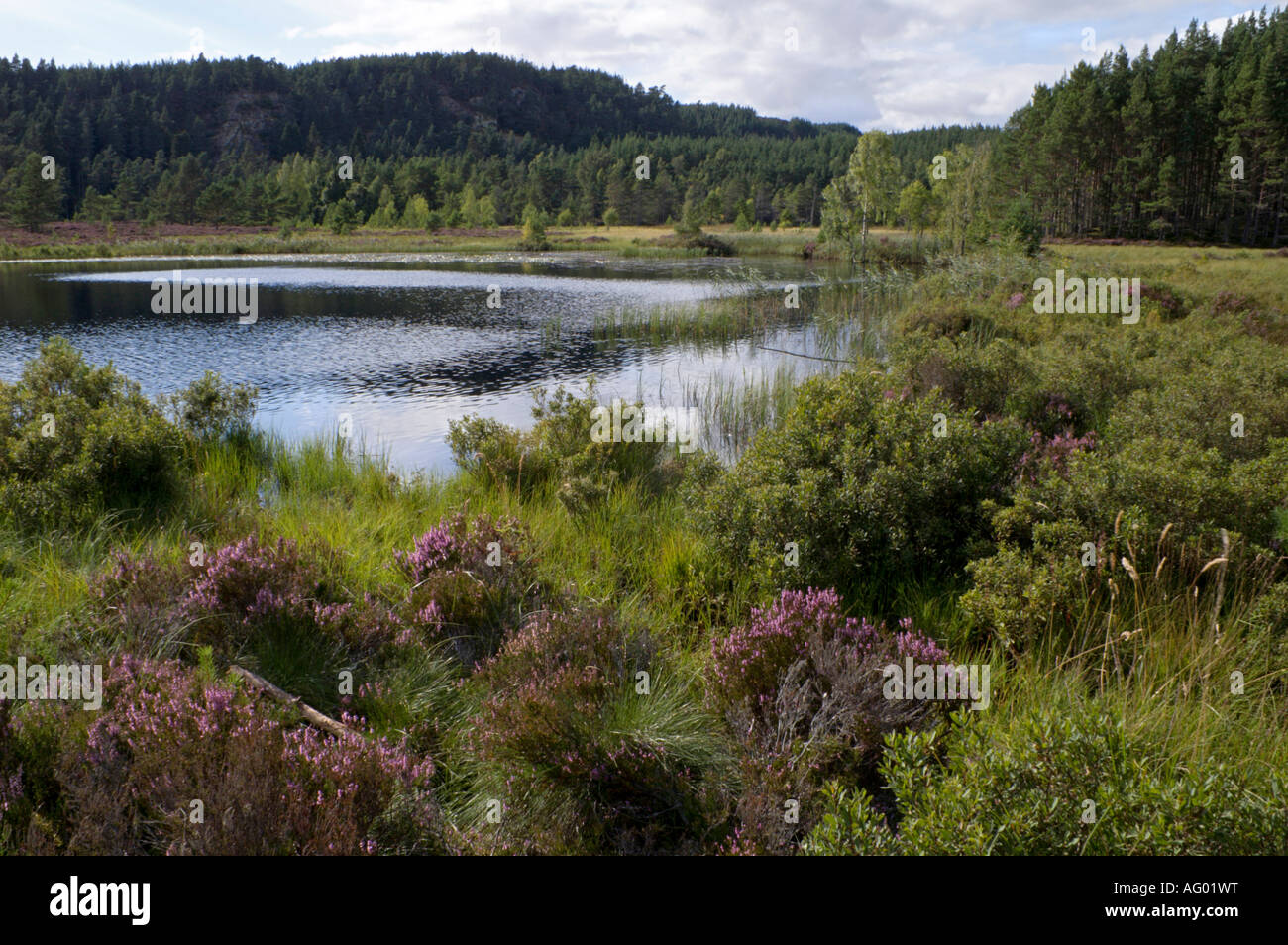 Vista di Uath Lochan nelle Highlands scozzesi Foto Stock