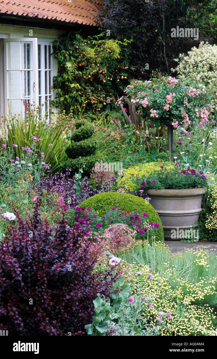 Cortile con giardino di rose standard in vasca, topiaria da prati, Agriturismo, Norfolk Foto Stock