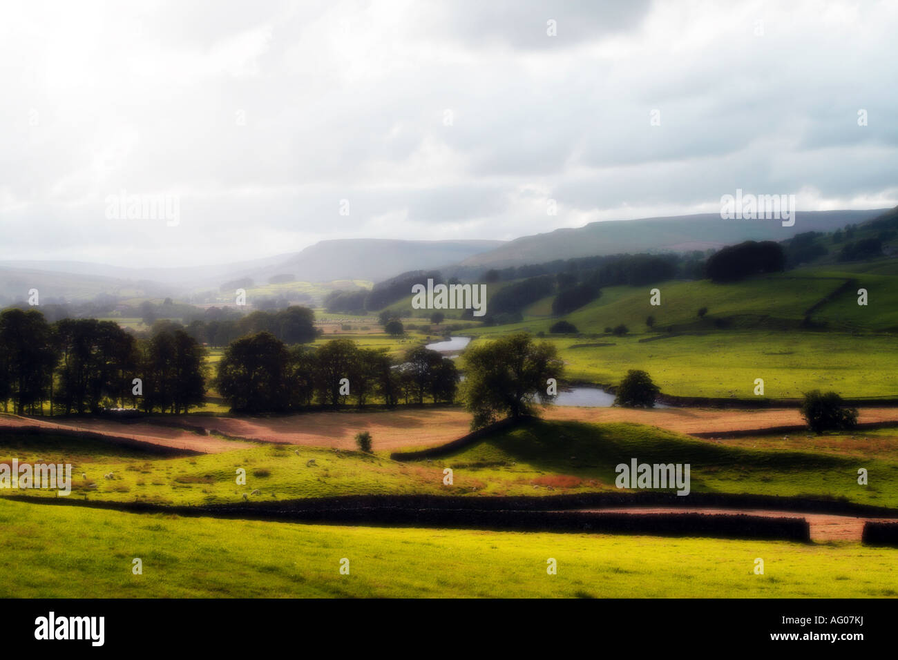 Le Yorkshire Dales vicino Aysgarth in Wensleydale UK (diffusa immagine) Foto Stock