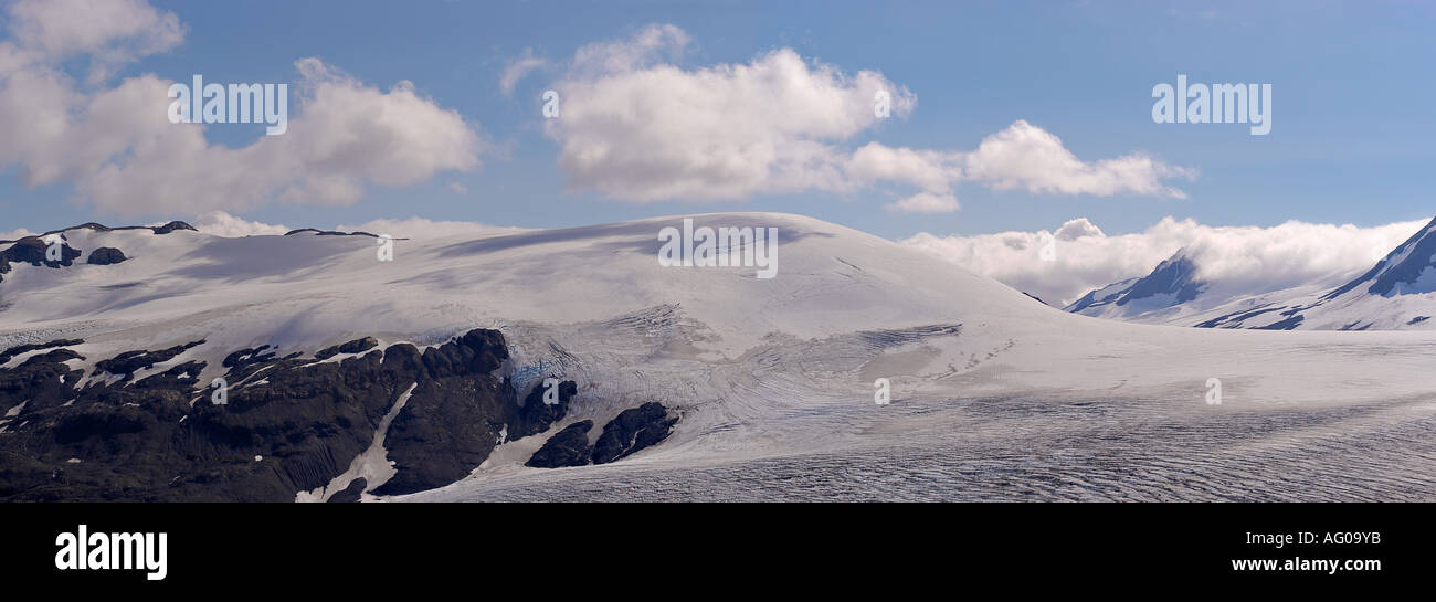 Panorama sul ghiacciaio Foto Stock