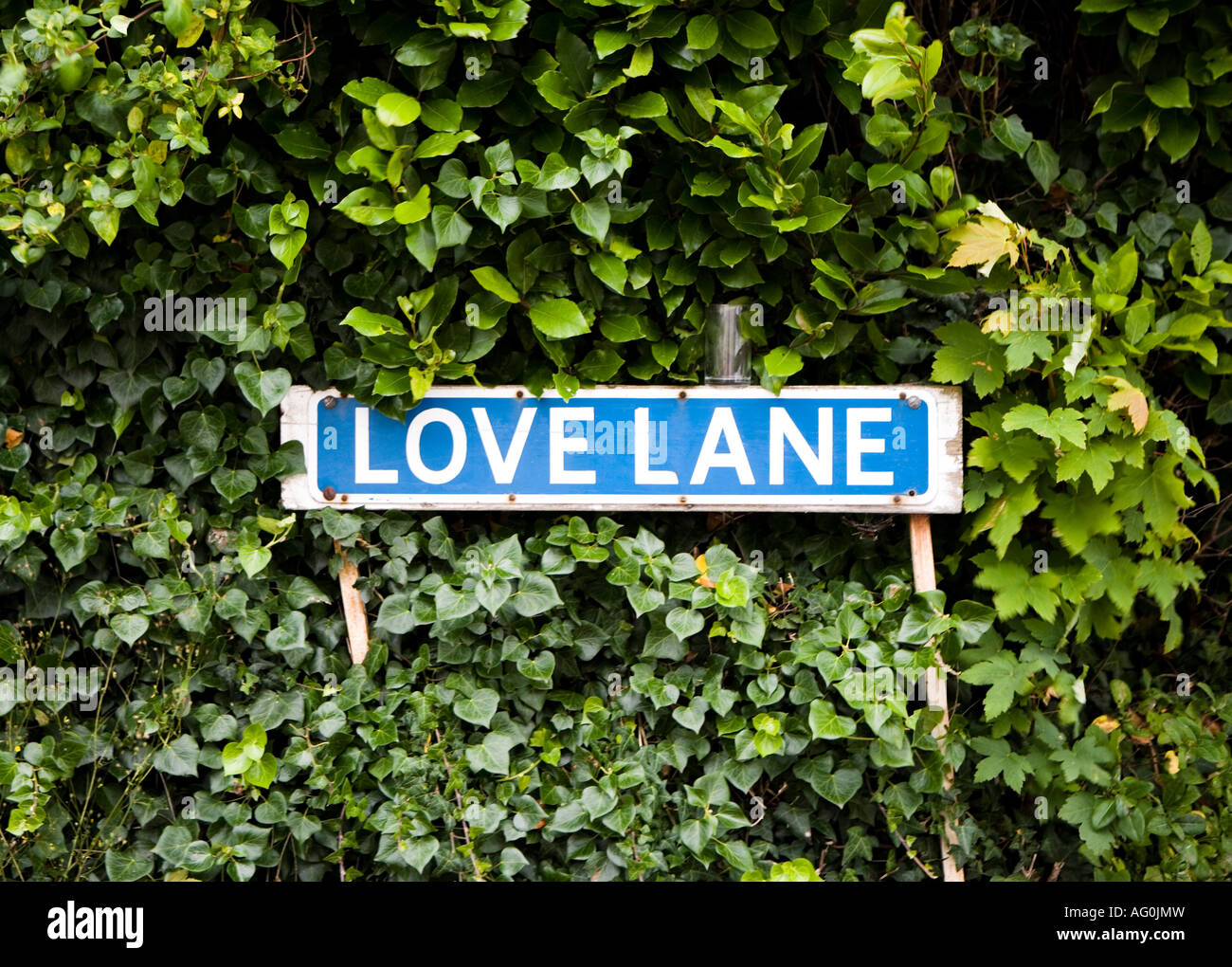 British cartello stradale per amore Lane Foto Stock