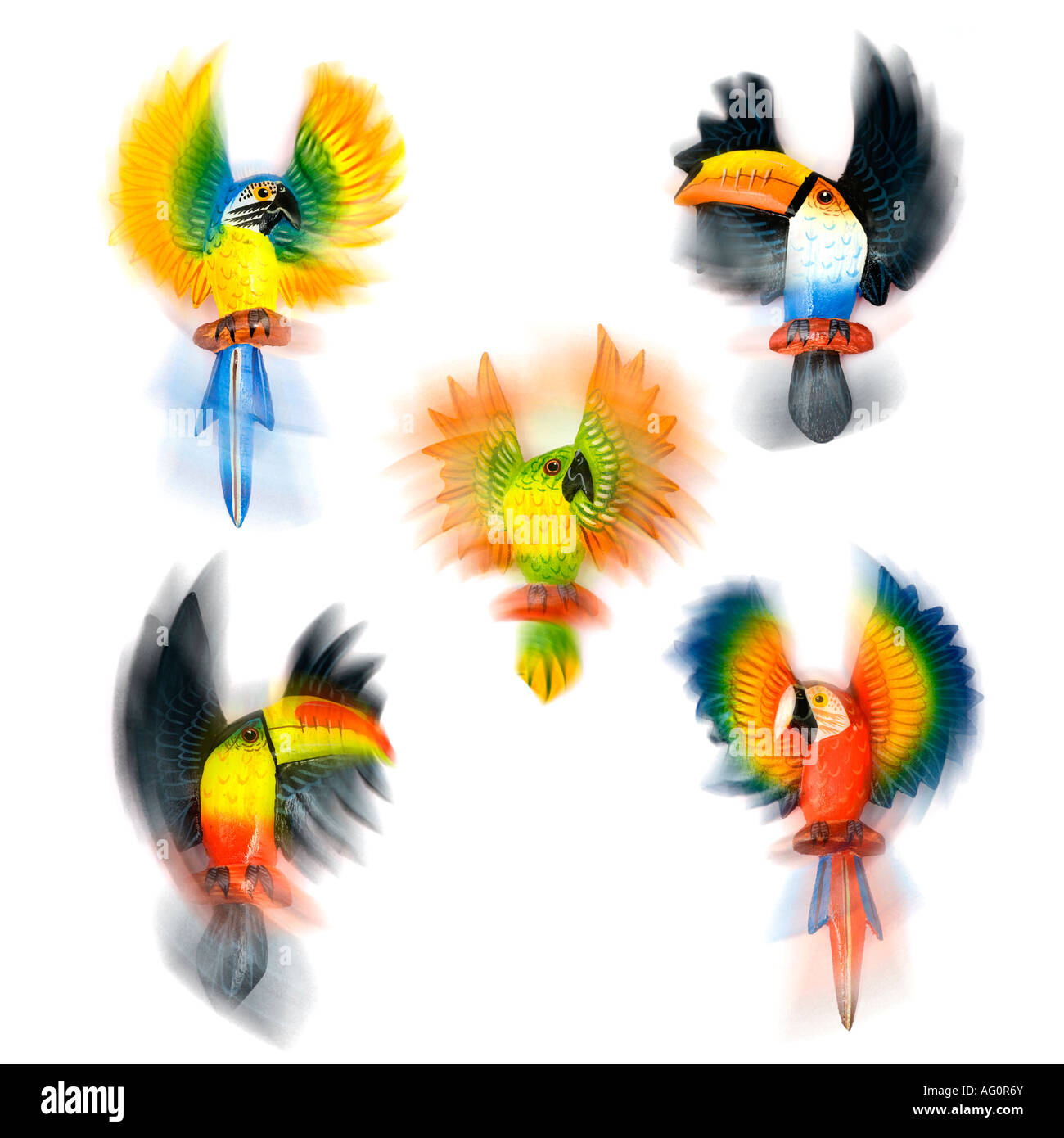 Gli uccelli tropicali coloratissimi dipinto di pappagalli e tucani Foto Stock
