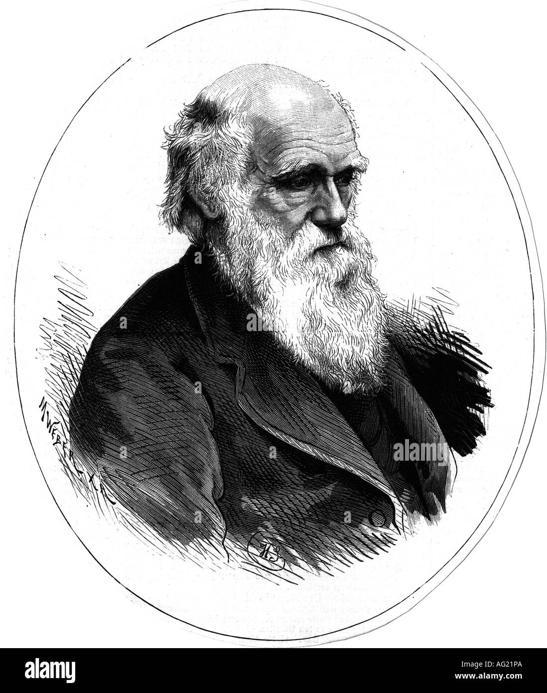 Darwin, Charles Robert, 12.2.1809 - 19.4.1882, naturalista britannico, ritratto, incisione del legno, dopo un disegno di M. Weber, pubblicato nel 1882, Foto Stock