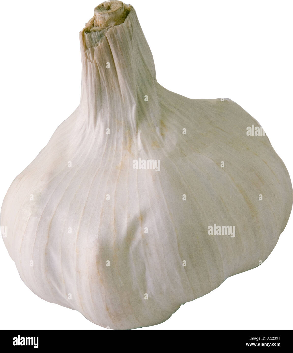 Un'immagine ravvicinata di un bulbo di aglio Foto Stock