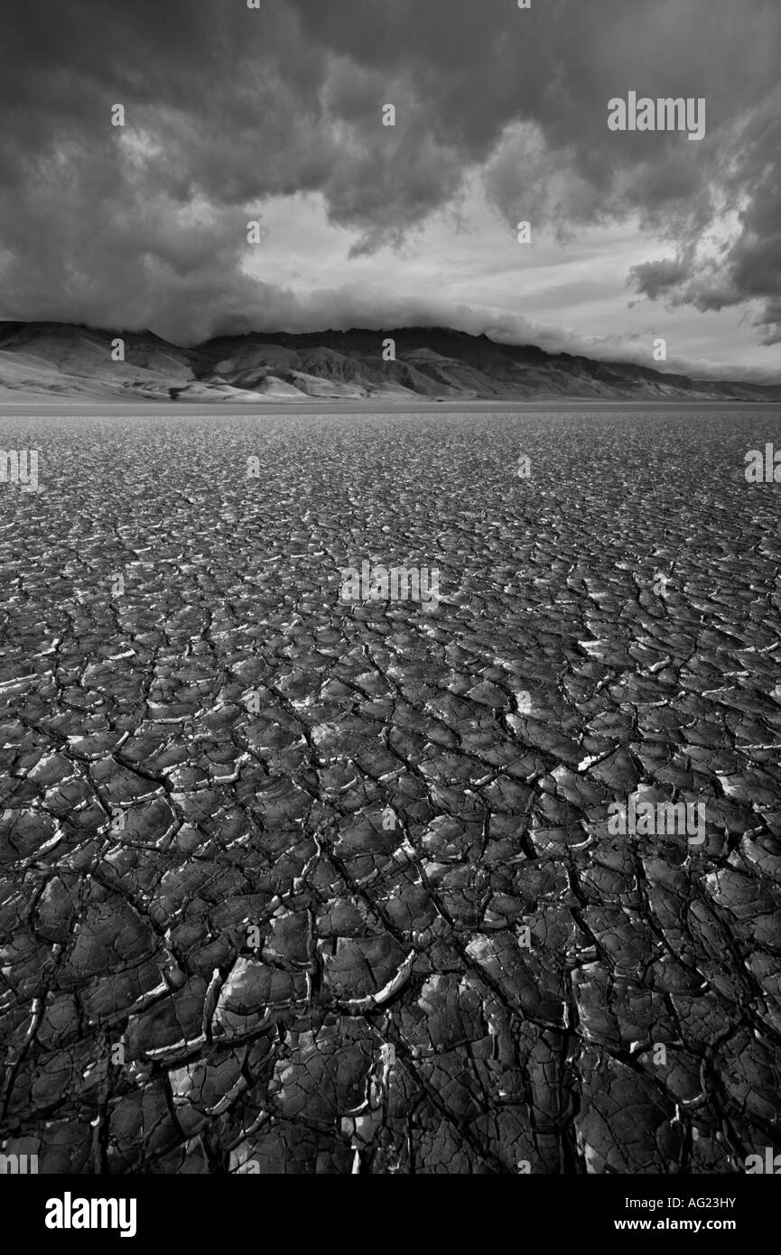 Dynamic in bianco e nero il tramonto nel deserto Alvord Foto Stock