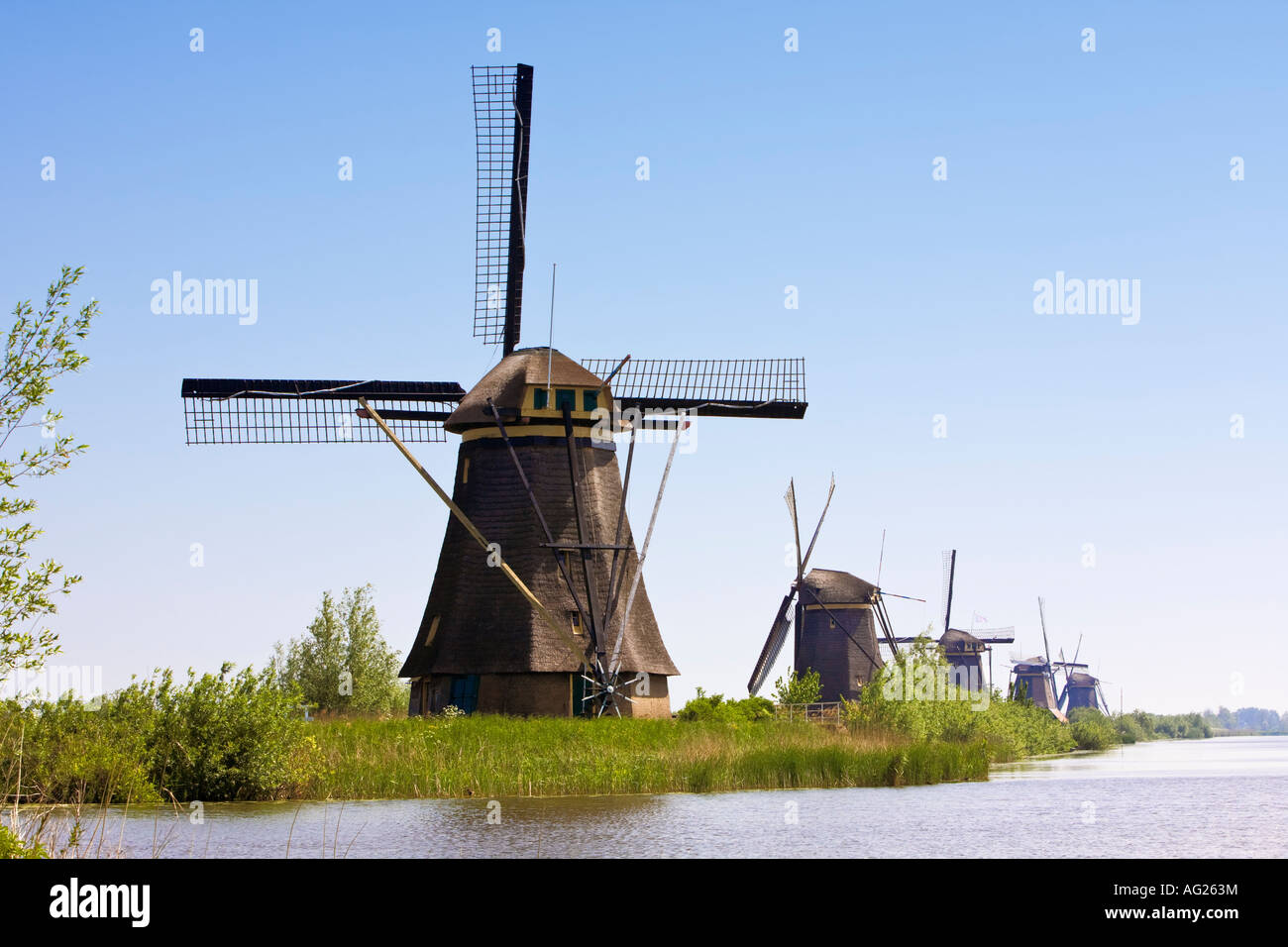 Fila di mulini a vento a Kinderdijk, Holland, Paesi Bassi, Europa Foto Stock