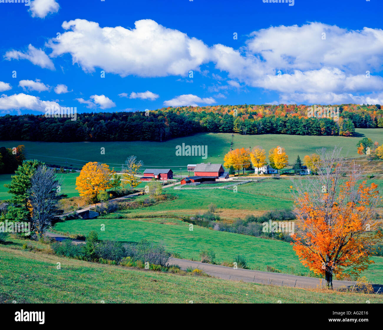 Terreni agricoli vicino a Barnet Vermont USA durante la caduta delle foglie di stagione Foto Stock