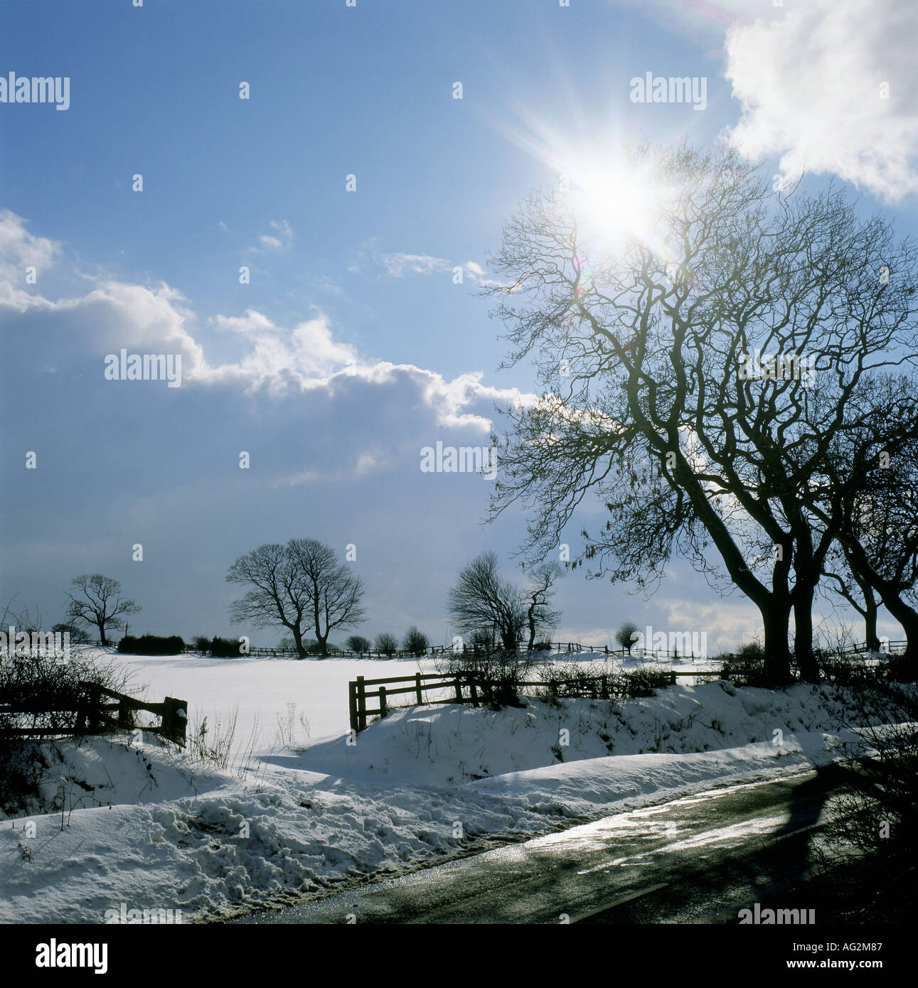 Il sole invernale sulla neve coperto campo Derwent Valley Foto Stock