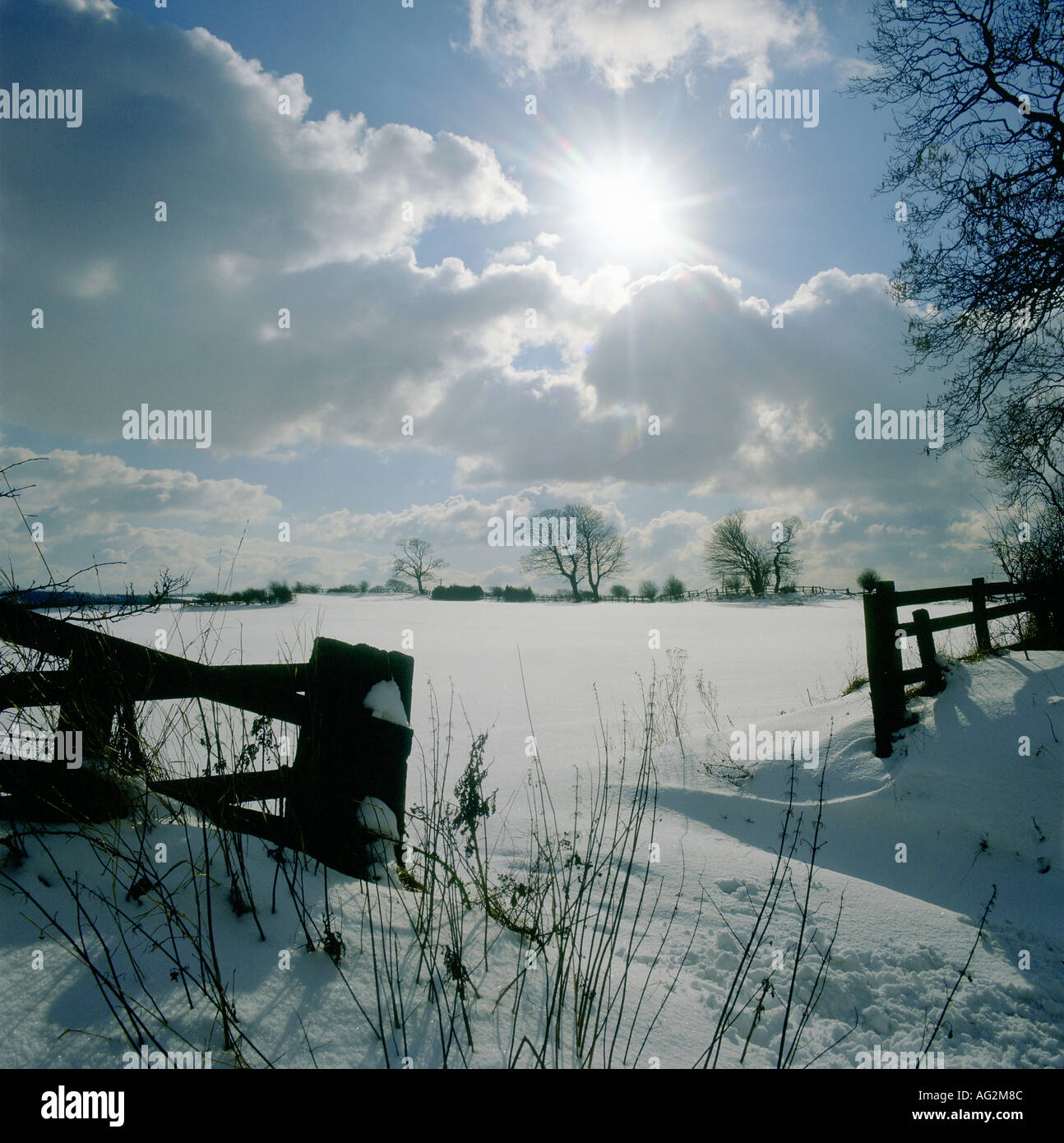 Il sole invernale sulla neve coperto campo Derwent Valley Foto Stock