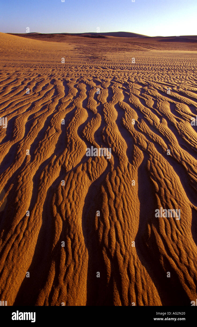 Increspature sulle dune di sabbia della Namibia Foto Stock