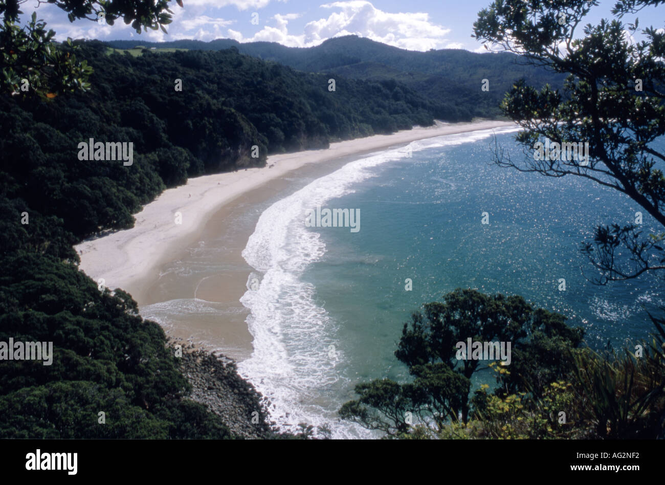 L'attraente fasciano di nuova spiaggia Chums Penisola di Coromandel Foto Stock