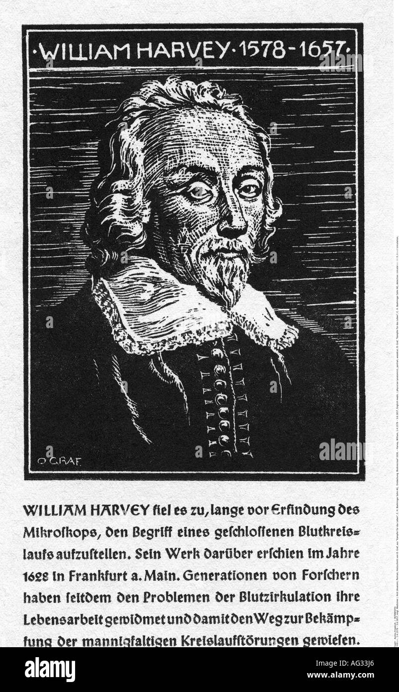 Harvey, William, 1.4.1578 - 3.6.1657, medico-medico inglese (anatomista), ritratto, taglio di legno, O. Graf, 'Kämpfer für das Leben', C. H. Boehringer Sohn AG, Foto Stock