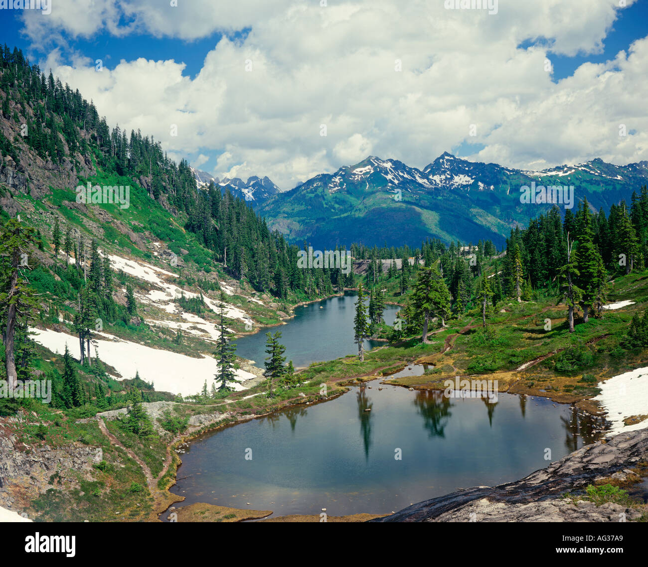 Mt Baker Wilderness Area stato di Washington STATI UNITI D'AMERICA Foto Stock