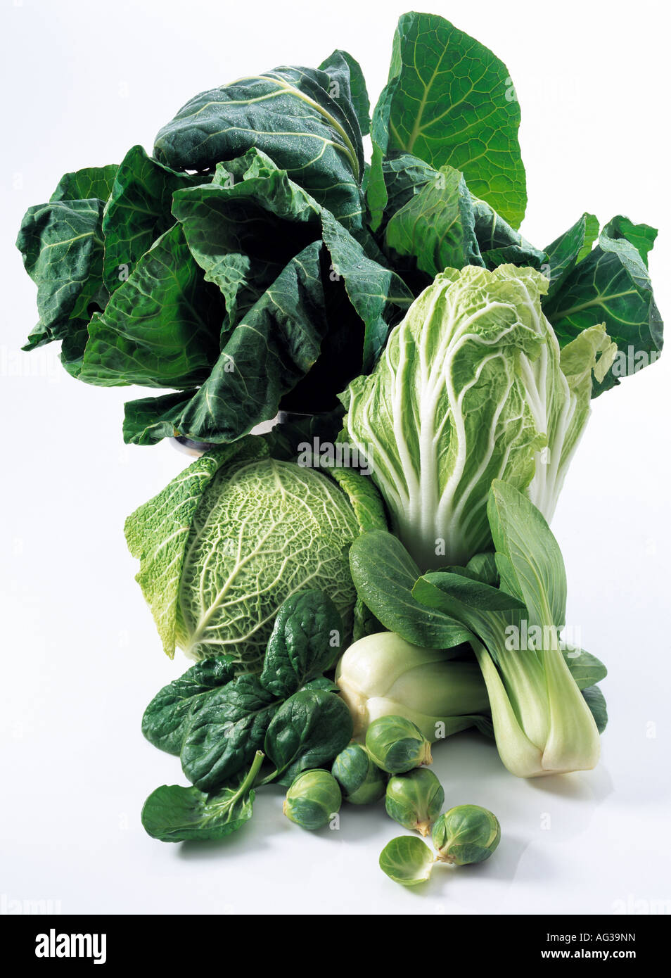 Frondose verdure verdi su sfondo bianco Foto Stock