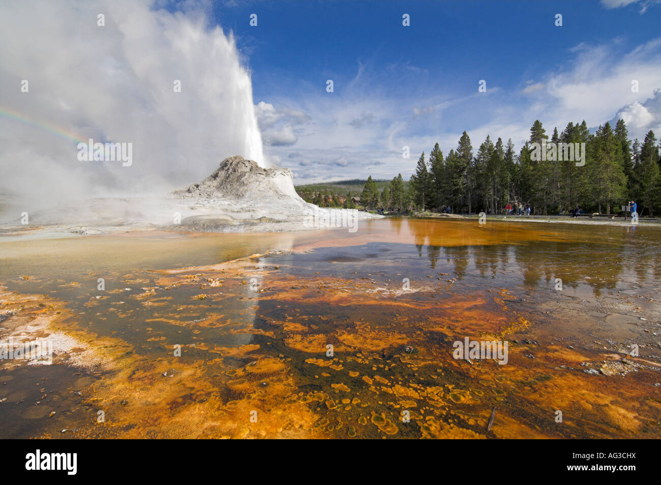 Castle Geyser Upper Geyser Basin Parco nazionale di Yellowstone Wyoming usa stati uniti d'America Foto Stock