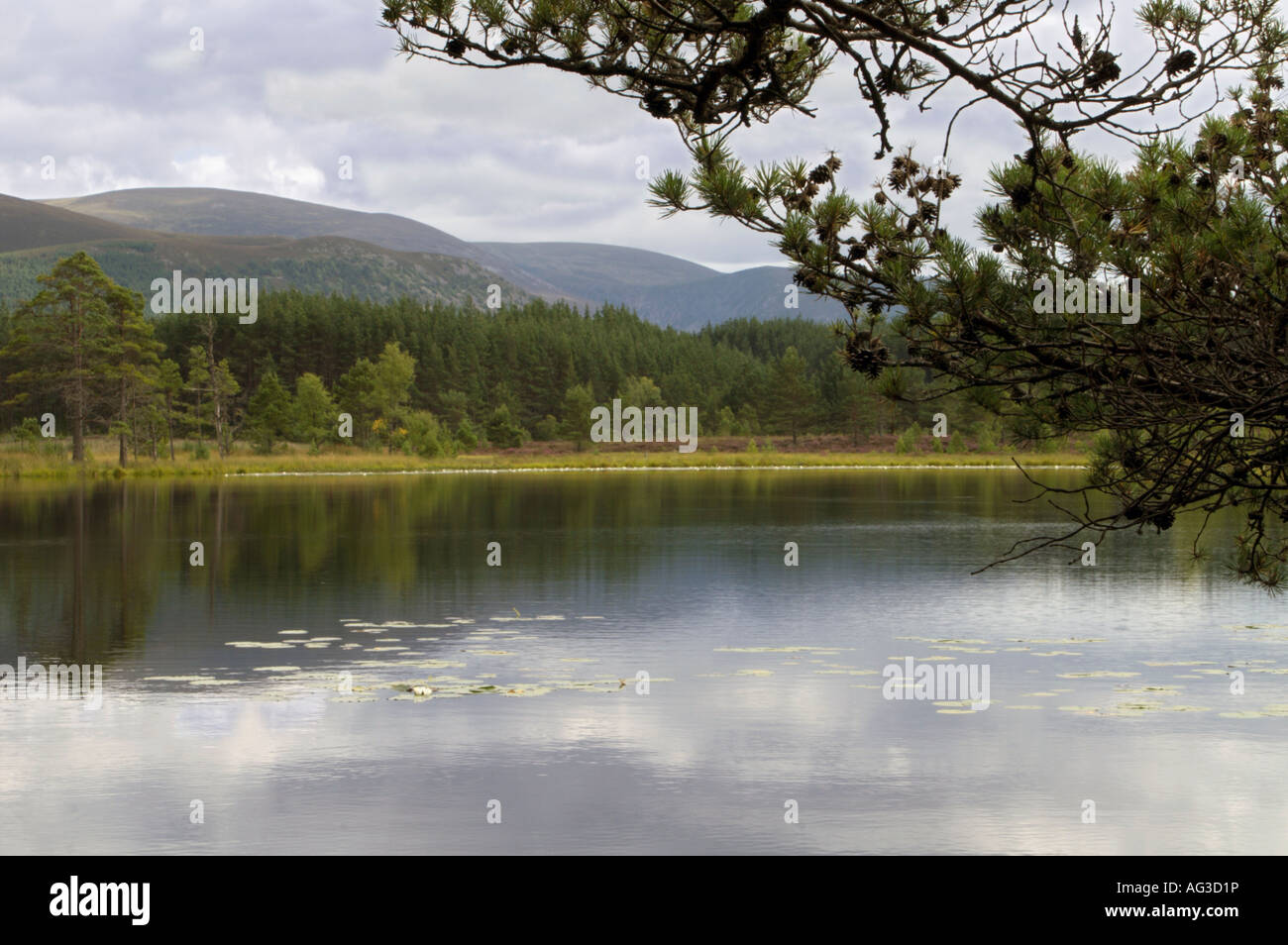 Vista di Uath Lochan nelle Highlands scozzesi Foto Stock