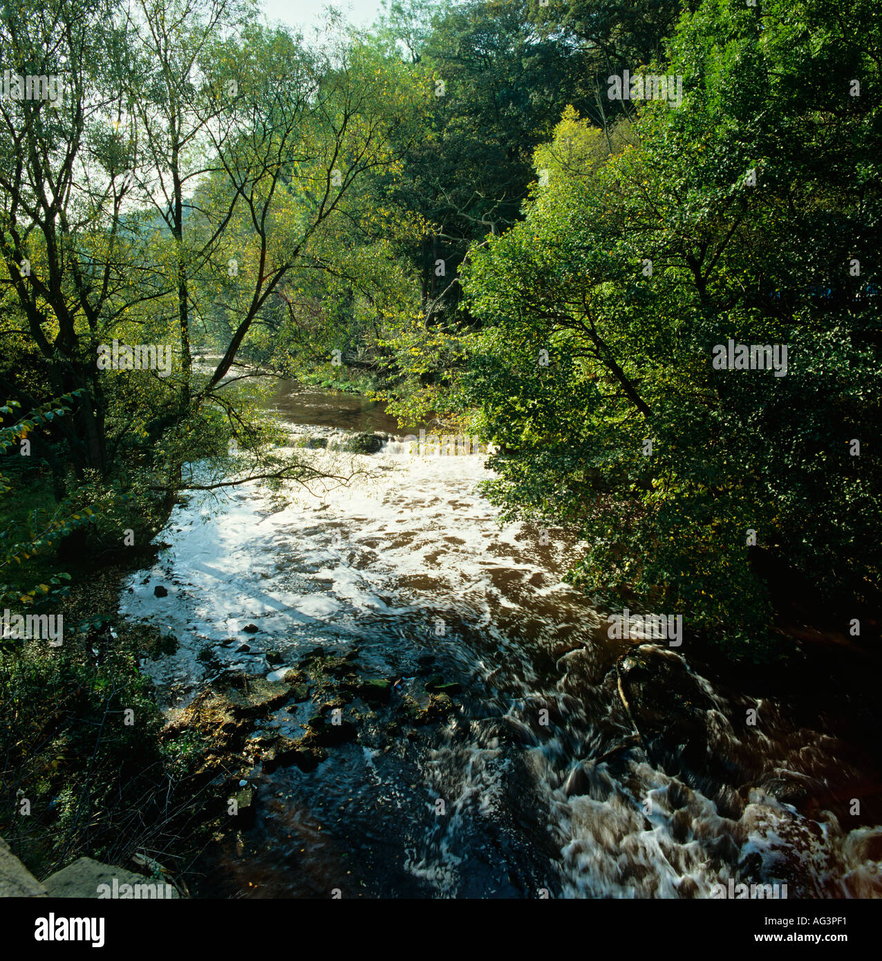 Cheshire Stockport Marple Fiume Ponte Goyt Foto Stock
