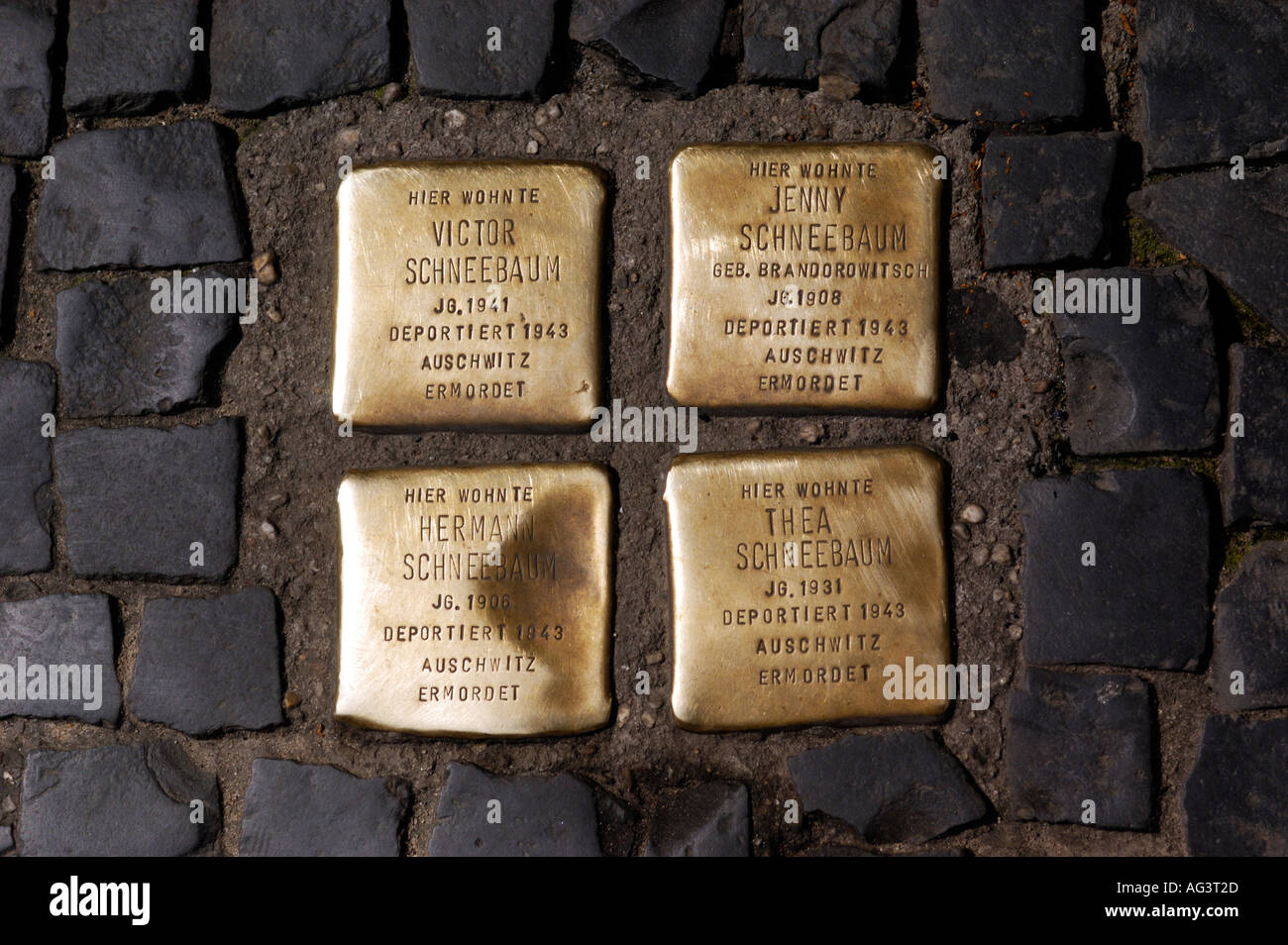 Golden acciottolato sulla strada fuori Hackescher Hofe in scheunenviertel commemorare gli ebrei uccisi nei campi di concentramento 2007 Foto Stock
