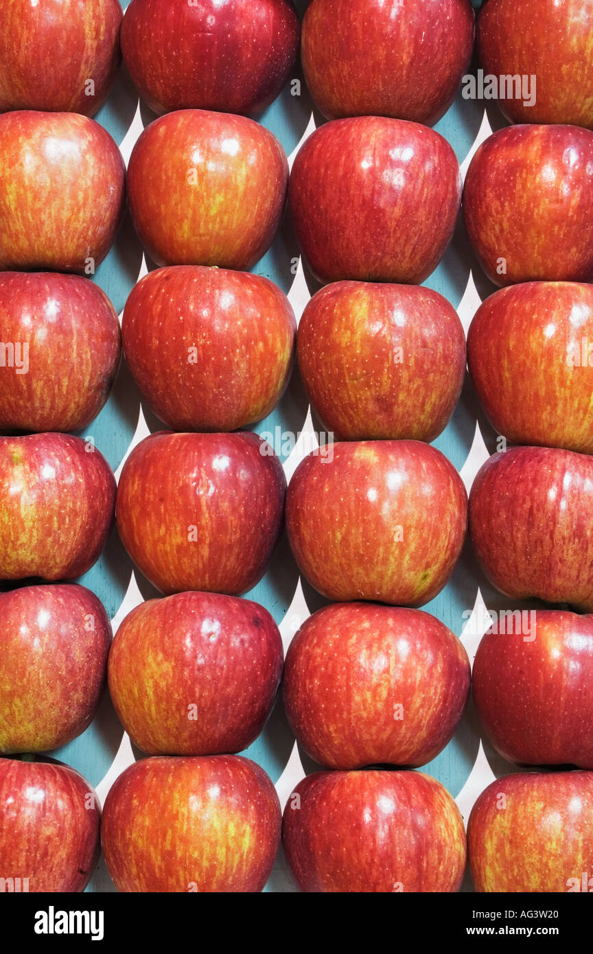 I concorrenti di Apple sul display in Kentucky State Fair Louisville Kentucky Foto Stock