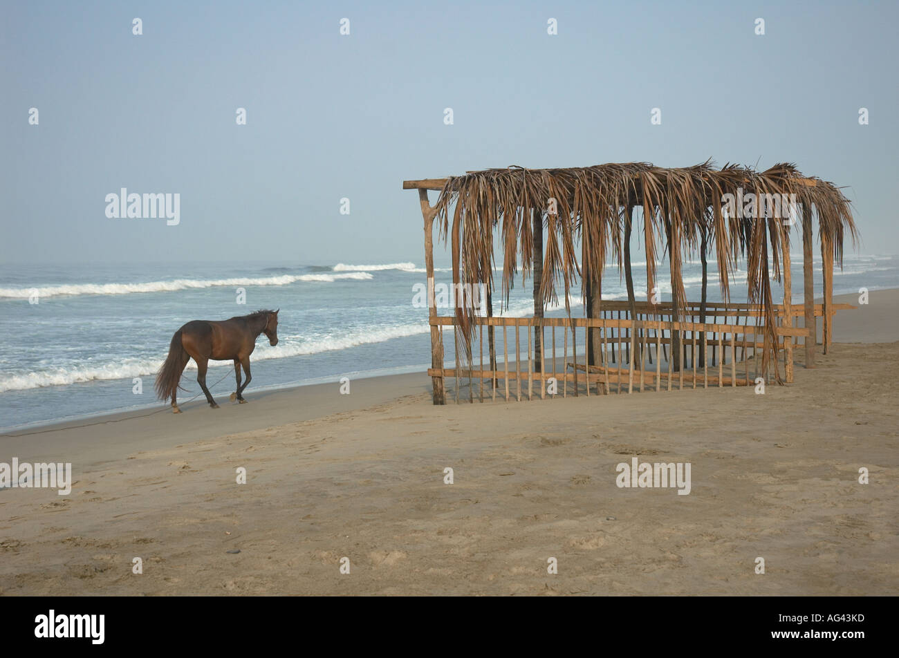 A cavallo sulla spiaggia di Playa Azul nel Michoacan Messico Foto Stock