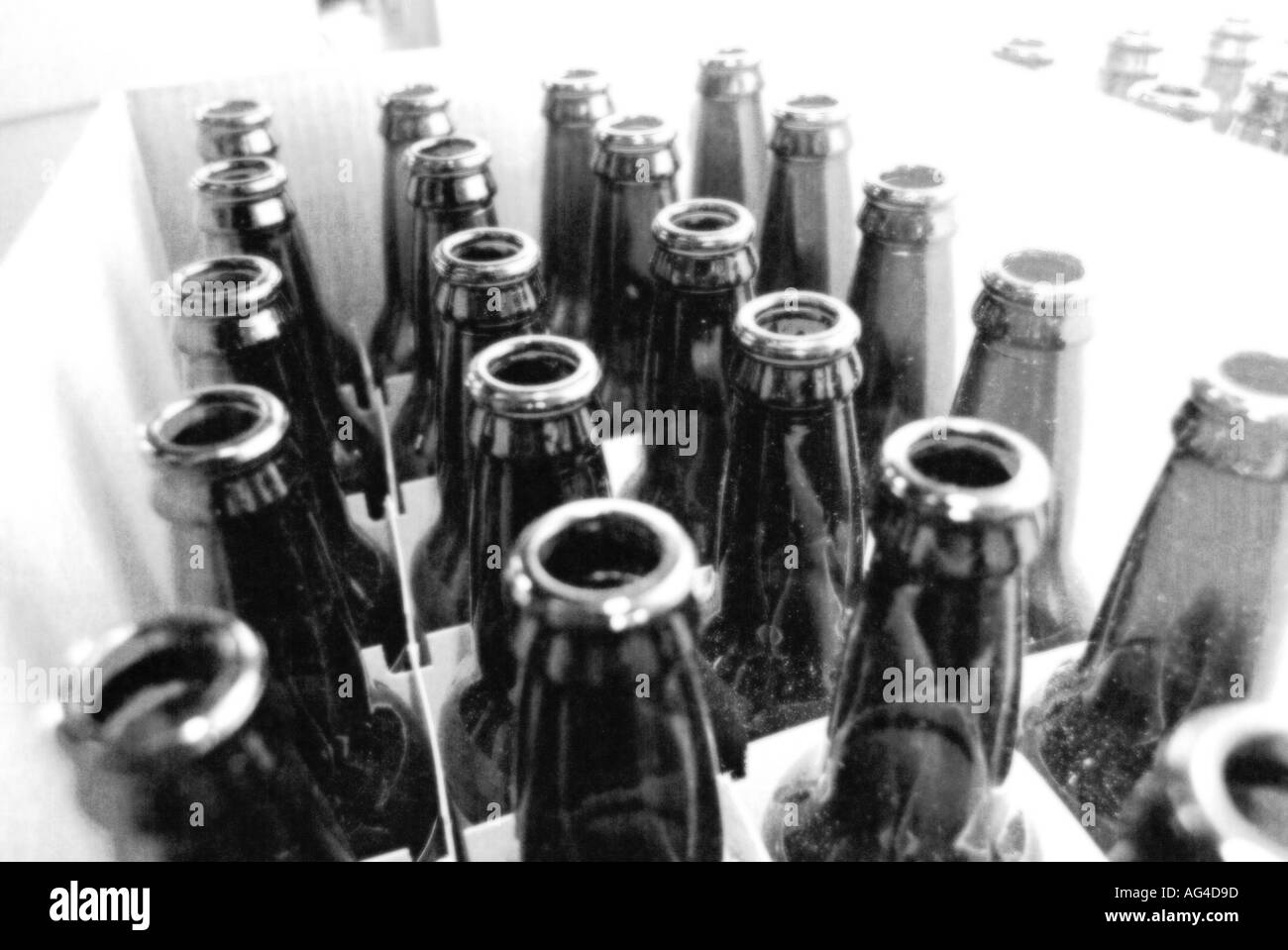 Le bottiglie di birra birra alcool vino bevuto bere alcolici alcolismo può bottiglia di vetro il lievito fermentare la fermentazione Foto Stock