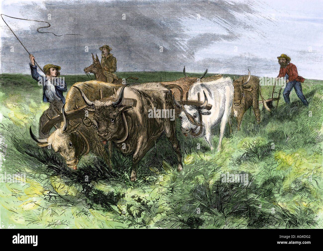 Homesteaders utilizzando ox squadre per arare la prateria a ovest del Mississippi 1800s. Colorate a mano la xilografia Foto Stock