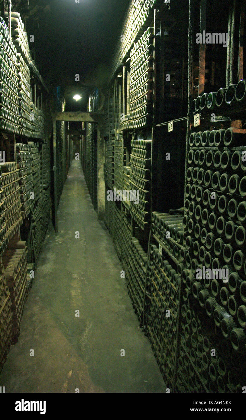 Bottiglie di vino Rioja nelle vecchie cantine sotterranee (circa 1860) a Marques de Riscal, La Rioja. Foto Stock