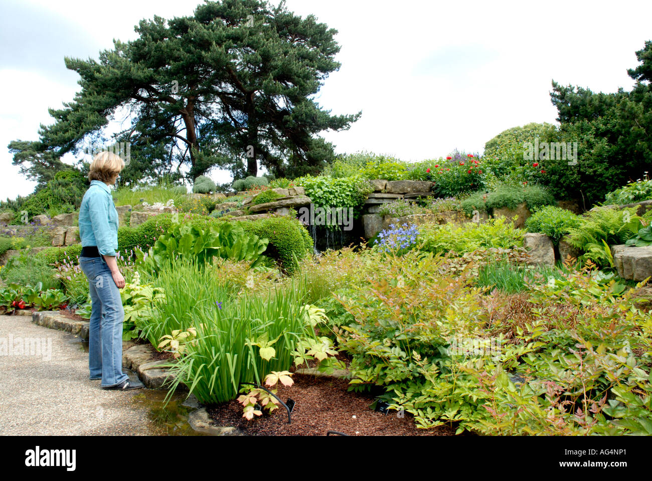 Donna che guarda le piante nel Giardino di Roccia Royal Botanic Gardens di Kew Richmond Surrey in Inghilterra La Gran Bretagna UK Europa UE Foto Stock