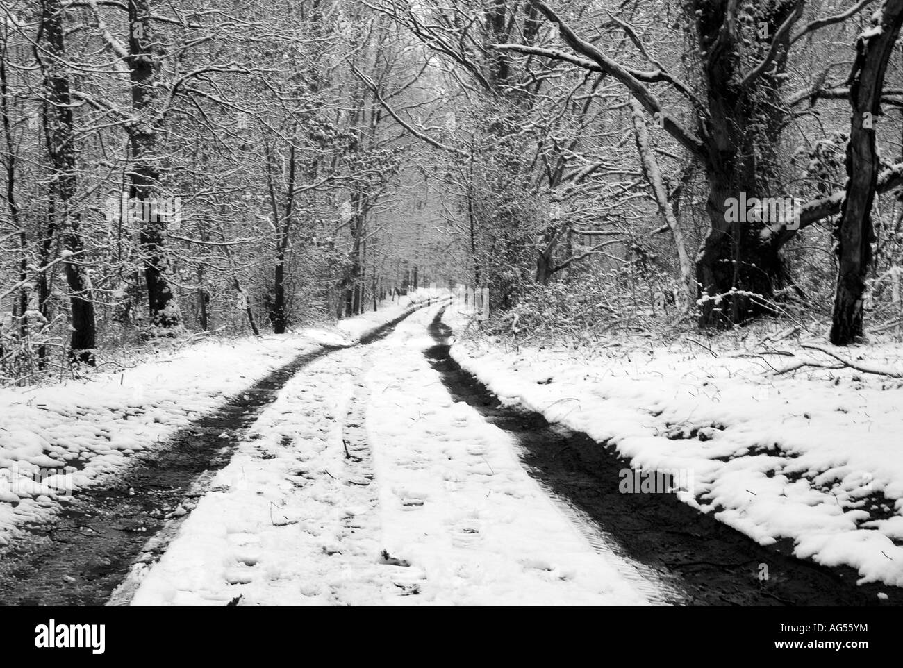 Pista di neve pupazzo di neve Foto Stock