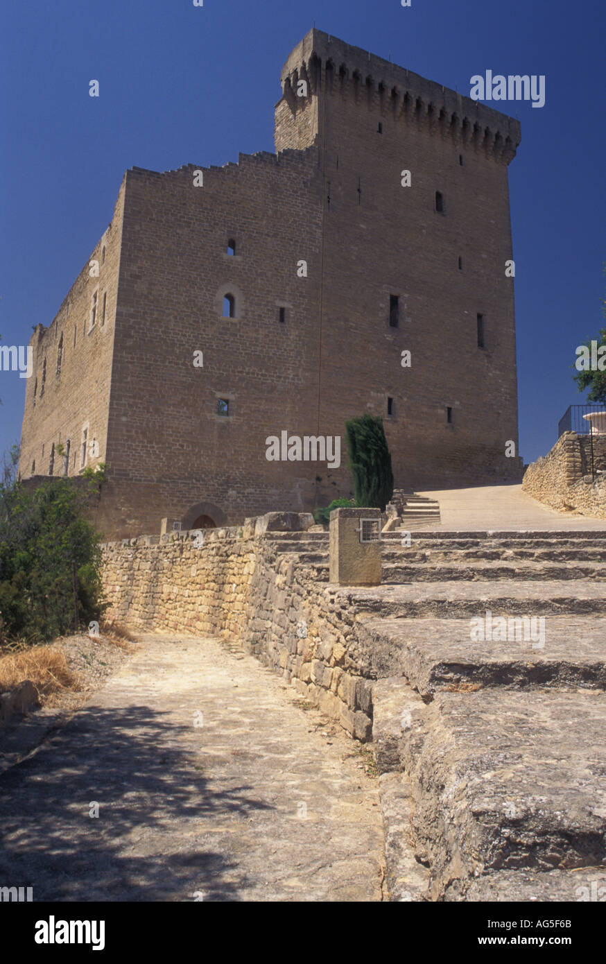 AJ15584, Francia, Chateau-Neuf-du-Pape, Provenza, Vaucluse, Europa Foto Stock