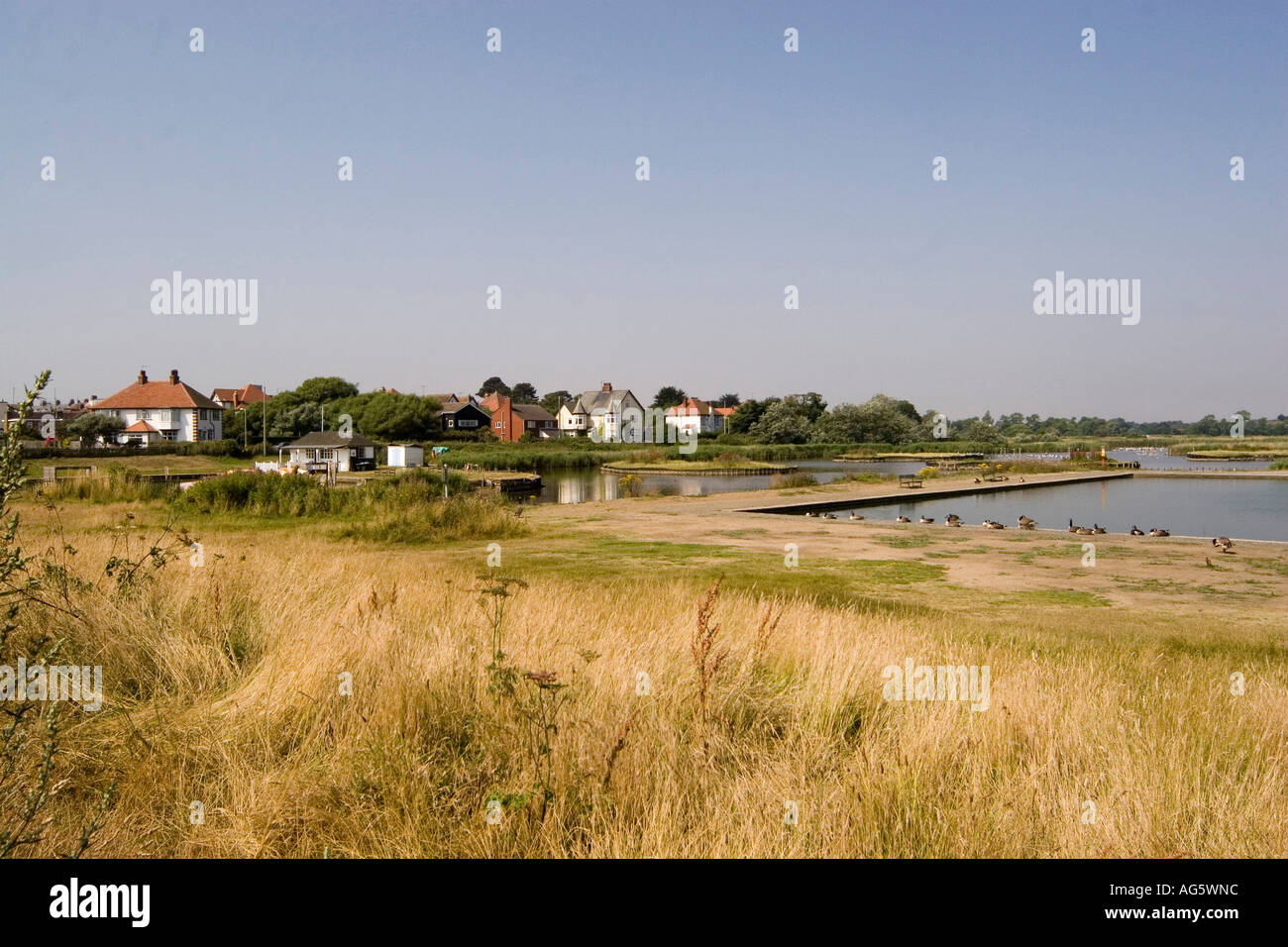 Gite in barca sul lago a southwold con Oche del Canada Foto Stock