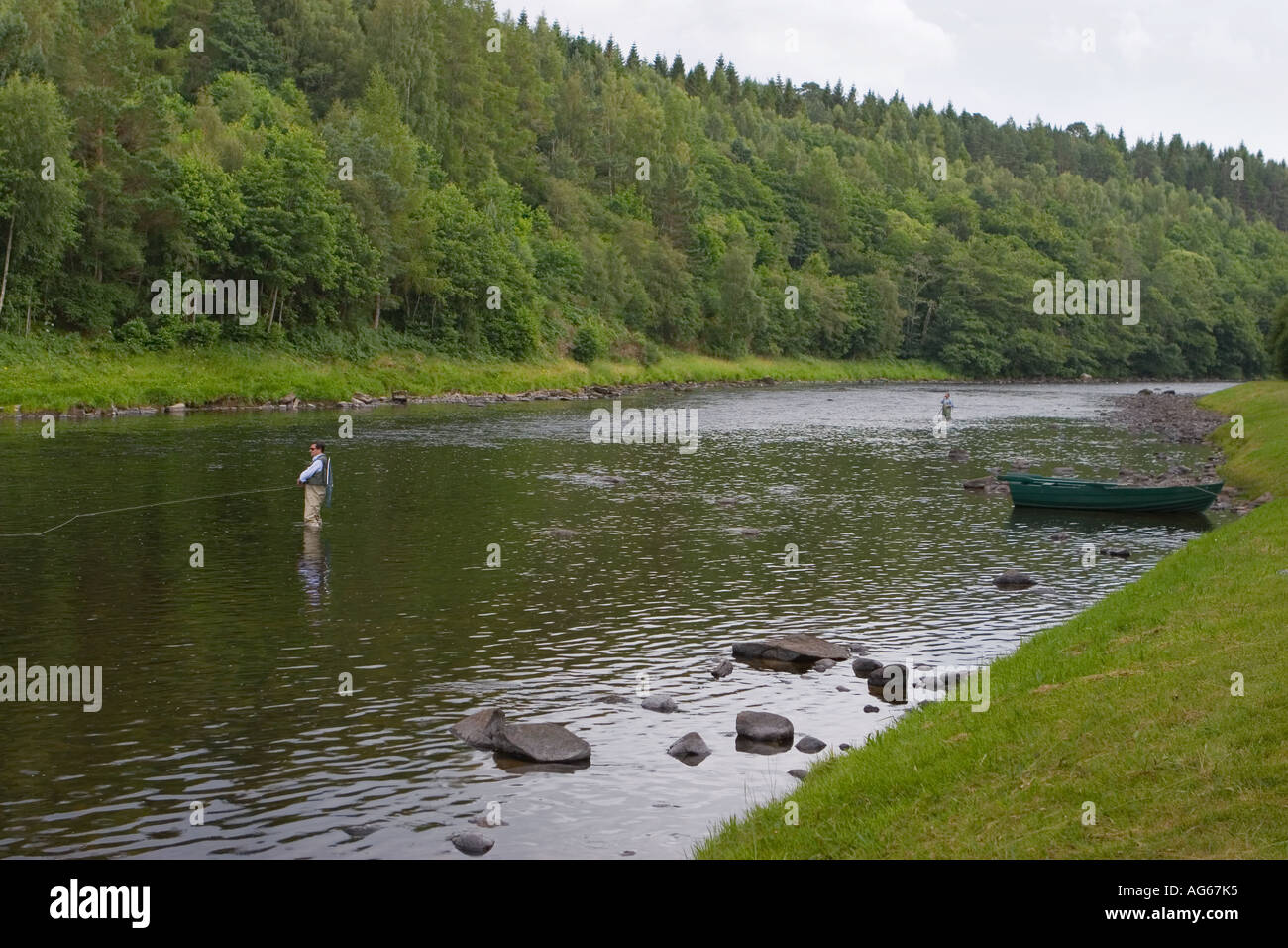 Fly Fisherman in waders, trasporto rete di atterraggio, wading lungo il fiume Spey, Speyside, Castle Grant Beat, Scottish Highlands, Scozia regno unito Foto Stock