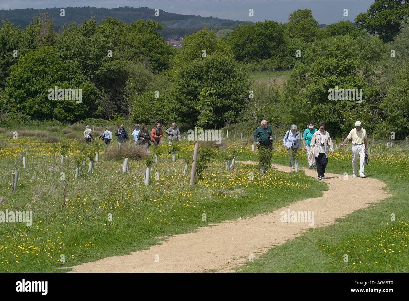 Gruppo di anziani in una passeggiata in campagna, Sussex, England, Regno Unito Foto Stock