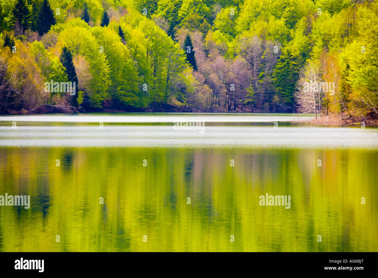 Incantevole lago calmo con riflessi e foresta in lontananza, lago Lokve in Croazia, Europa sognare più o meno anche in su a probabilmente probabile ma vicino Foto Stock