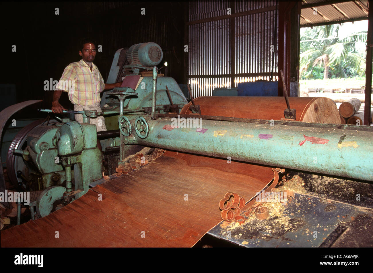 India Andamane centrale isola Bakultala Jayshree fabbrica di legno compensato gurjun log sulla macchina di impiallacciatura Foto Stock